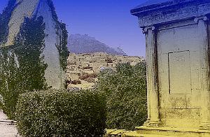 ORAN 02428